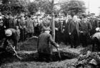 Tree planting
