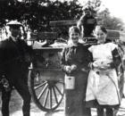 Milk cart